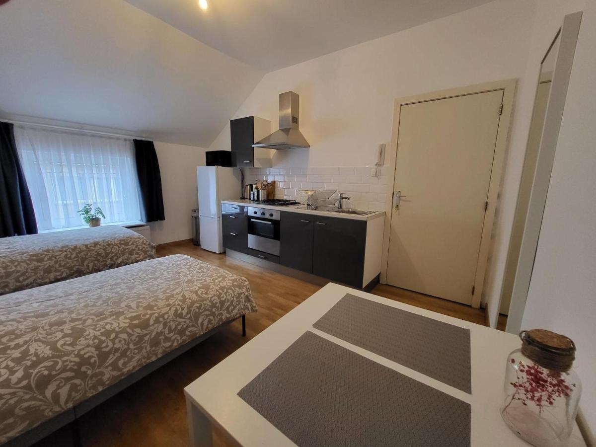 Studios Idealement Situes - Eu Etterbeek Dış mekan fotoğraf